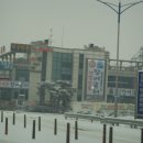 대명돛대 이미지