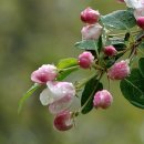 진성중학교 이미지