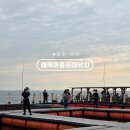 왜목마을좌대낚시 최신 이용방법 및 초보 조과