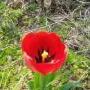 숲속나라어린이집 이미지