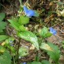 평택공단근린공원 이미지