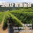 방동농장 이미지