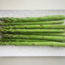 스타덤핏 이미지