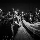 영상으로 만나는 스냅 이미지