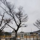 유양1통 네이버블로그