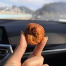 커버낫강릉점 | 강릉 반일치기