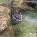 전남야생동물구조관리센터 이미지