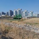 송도 달빛공원 인천송도파크골프장 이미지