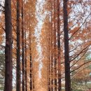 도덕산공원(야외음악당) 이미지