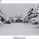 더플라워펜션 이미지