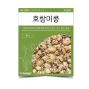 씨앗 쇼핑하우
