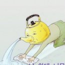 샴푸요정