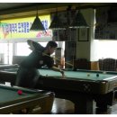 페라리 포켓클럽 이미지