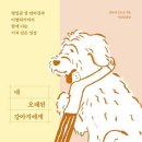 나의 강아지 이미지