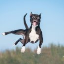 (주)유니바이오테크 이미지