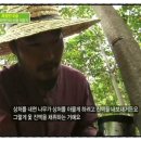 수향산방 이미지