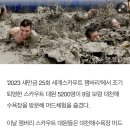 김치, 황토걷기, 보령머드축제 신나게노는 잼버리 대원들 이미지