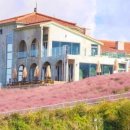 평화로 L 이미지