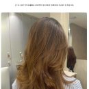 에이바헤어 명동센터점 | 명동 미용실 에이바헤어 명동센터점, 평소와 다른 스타일에 도전해본 솔직 후기