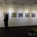 푸른환경 이미지