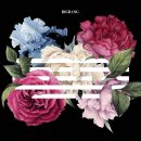 BIGBANG - 꽃길(FLOWER ROAD) 이미지