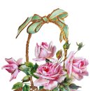 서운어린이집 이미지