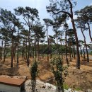 소나무세차장 이미지