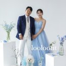 강아지 맞춤 드레스는 “루루핏”에서!!