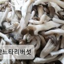 쌈마트 이미지