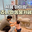 쥬니멀 반려동물카페 네이버블로그