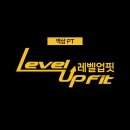 레벨업핏 이미지