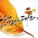 낭만에대하여 Daum카페