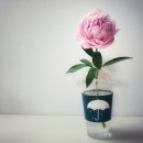 대박김밥 이미지