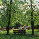 나의 첫 글+ 이야기의 시작 이미지