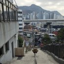 홍록배드민턴장 이미지