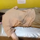 클라라스킨앤바디 네이버블로그