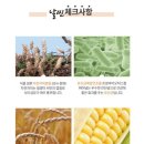 에이스원 이미지