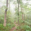 장산제일약수터 이미지