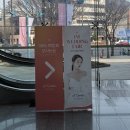 카페 아이니 | 아이니웨딩 카페 이용 후기 + 포인트 적립 방법