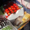 팔공포레스트