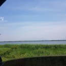 명지낚시터 이미지