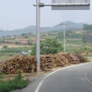 함평해수찜 이미지