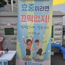 효중기념간호학원 | 실전에서 필요한 지식을 충분히 쌓을 수 있었던 효중기념간호학원