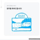 팔공산올레길 7코스 | 제주도 올레길 7코스 나 홀로 완주 후기-시작부터 비바람이라니..