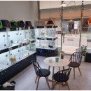 드림독 강아지분양 안심분양센터 인천점 이미지