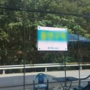 새미스포렉스 이미지