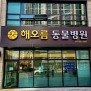 해오름동물병원 이미지