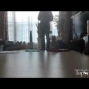 Tophandler 이미지