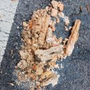 매자리길 이미지