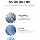 모락스칼프 | [약담]탈모 예방 홈케어 제품 팜모락 라인 내돈내산 솔직 리뷰
